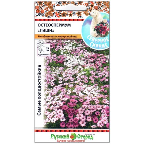 Остеоспермум Пэшн