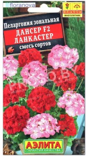 Пеларгония зональная Дансер ланкастер F2, смесь