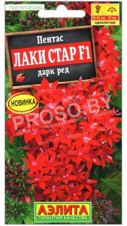 Пентас Лаки стар дарк ред F1