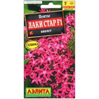 Пентас Лаки стар виолет F1
