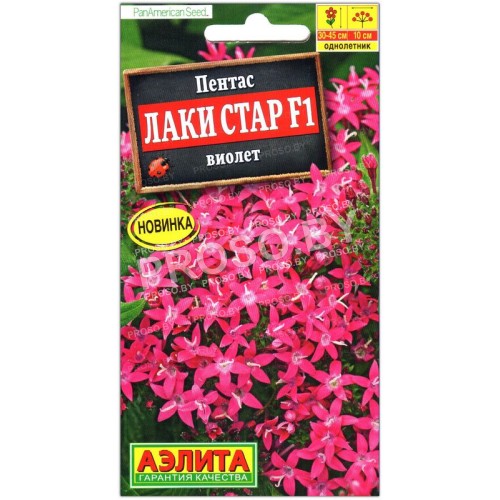Пентас Лаки стар виолет F1