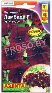 Петуния Ламбада бургунди F1