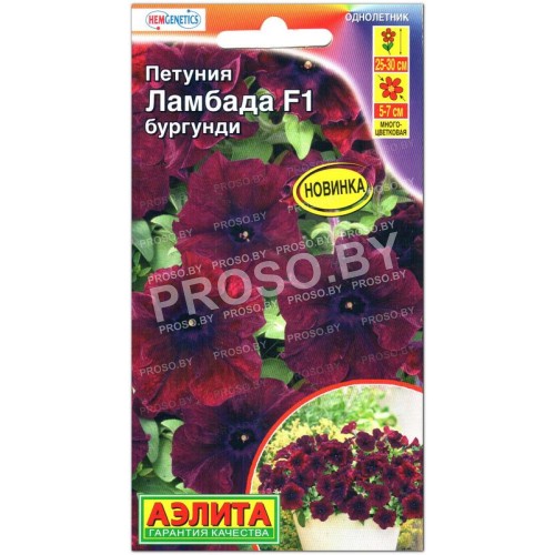 Петуния Ламбада бургунди F1