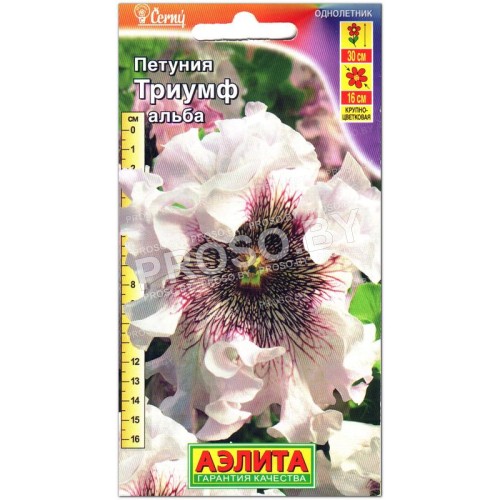 Петуния Триумф альба