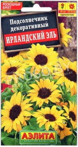 Подсолнечник декоративный Ирландский эль