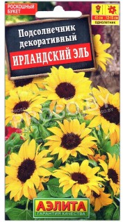 Подсолнечник декоративный Ирландский эль