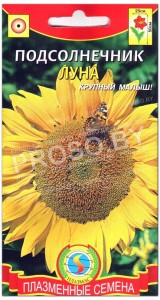 Подсолнечник Луна