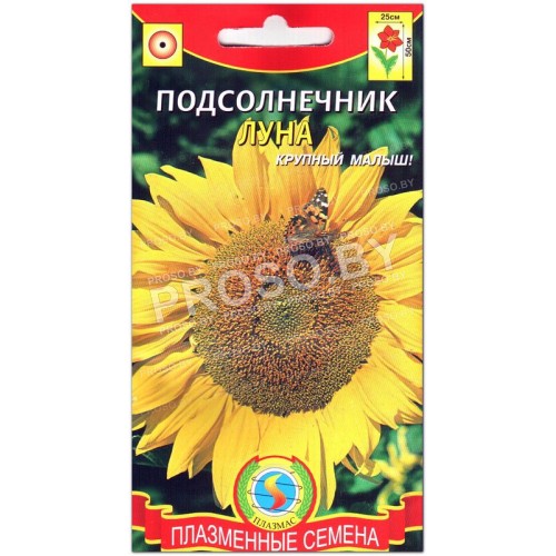 Подсолнечник Луна