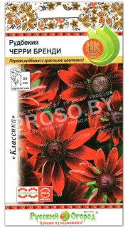 Рудбекия Черри Бренди