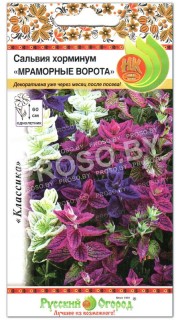 Сальвия хорминум Мраморные ворота