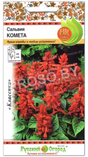 Сальвия Комета
