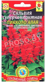 Сальвия суперкомпактная Пикколо алая