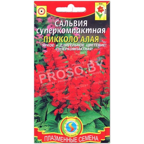 Сальвия суперкомпактная Пикколо алая