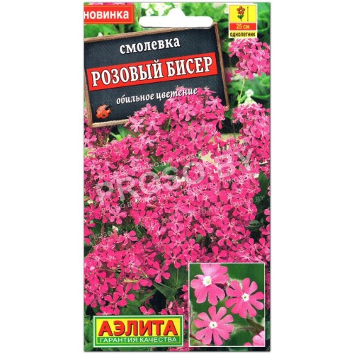 Смолевка Розовый бисер