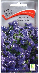 Статица Суприм синяя