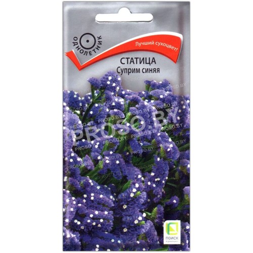 Статица Суприм синяя