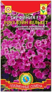 Сурфиния Роуз вэйн вельвет F1