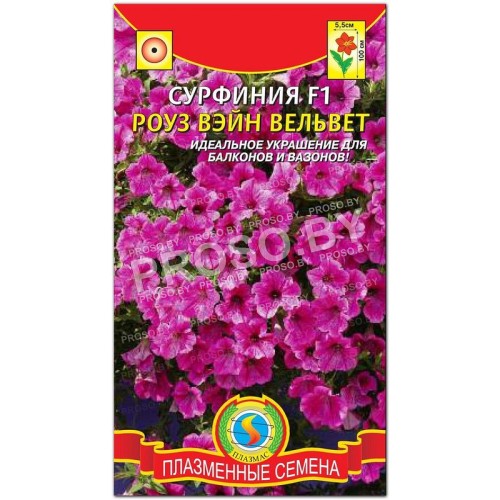 Сурфиния Роуз вэйн вельвет F1