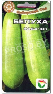 Кабачок Белуха