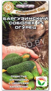 Огурец Баргузинский соболек F1