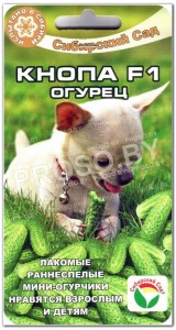 Огурец Кнопа F1