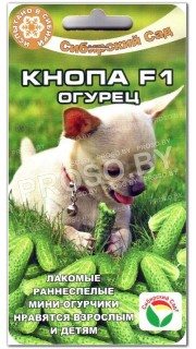 Огурец Кнопа F1