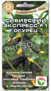 Огурец Сибирский экспресс F1