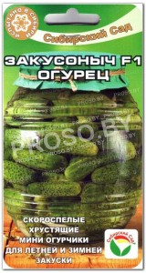 Огурец Закусоныч F1