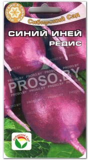 Редис Синий иней