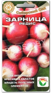 Редис Зарница