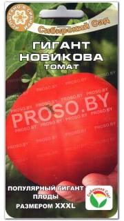 Томат Гигант Новикова