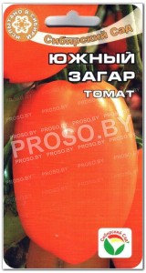 Томат Южный загар