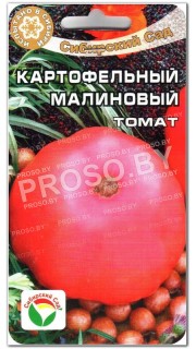 Томат Картофельный малиновый