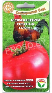 Томат Командир полка