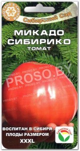 Томат Микадо сибирико