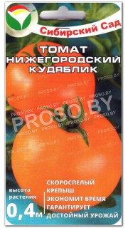 Томат Нижегородский кудяблик