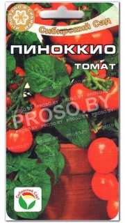 Томат Пиноккио