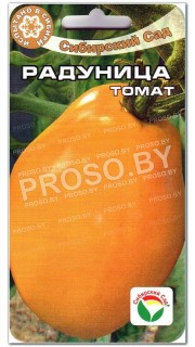 Томат Радуница