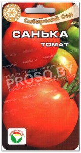 Томат Санька