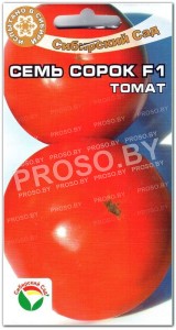 Томат Семь сорок F1