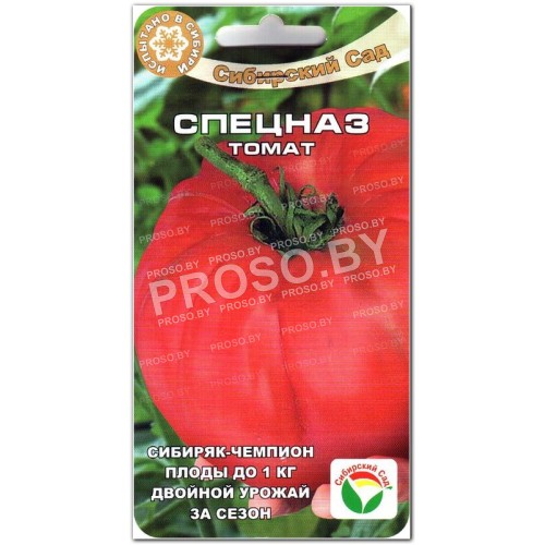 Томат Спецназ