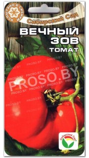 Томат Вечный зов