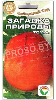 Томат Загадка природы