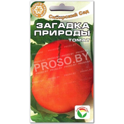 Томат Загадка природы