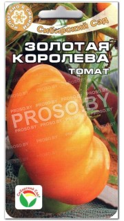 Томат Золотая королева