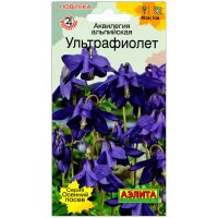 Аквилегия альпийская Ультрафиолет