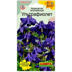Аквилегия альпийская Ультрафиолет