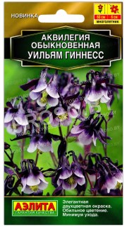 Аквилегия обыкновенная Уильям Гиннесс
