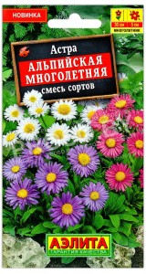 Астра Альпийская смесь, многолетняя
