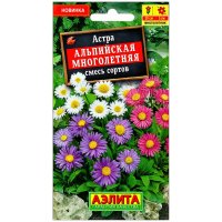 Астра Альпийская смесь, многолетняя
